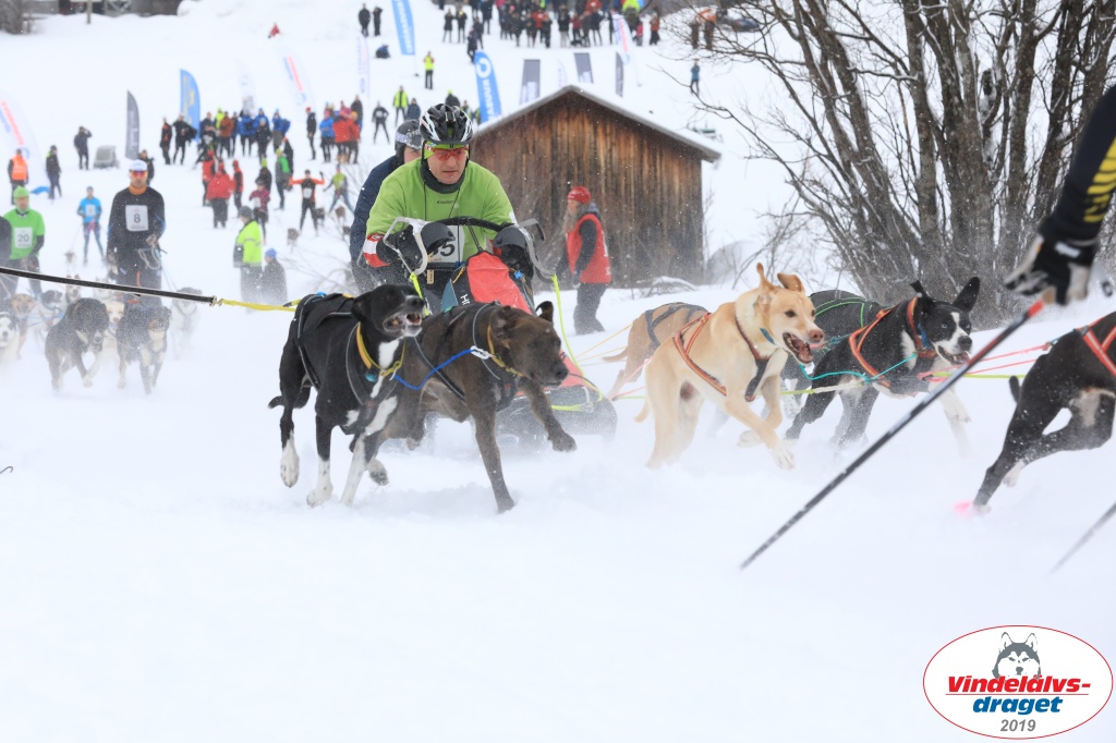 Vindelalvsdraget2019Sunday-6.jpg