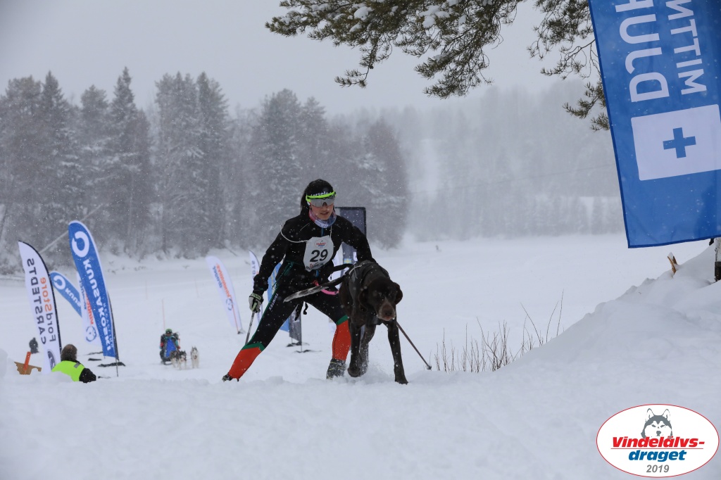 Vindelalvsdraget2019Sunday-64.jpg