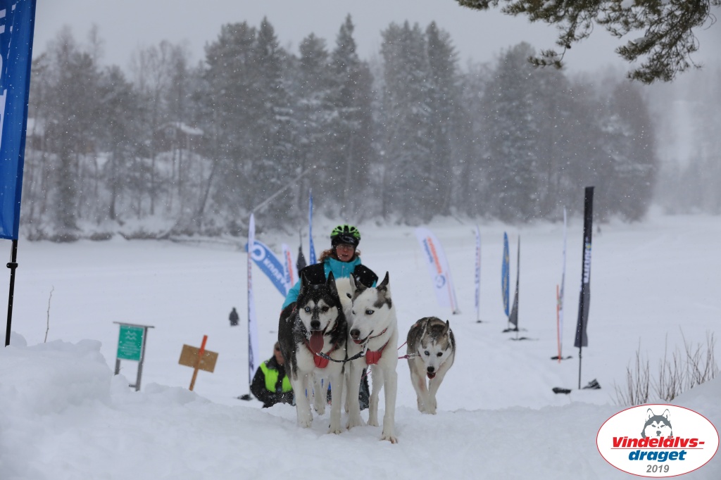 Vindelalvsdraget2019Sunday-65.jpg