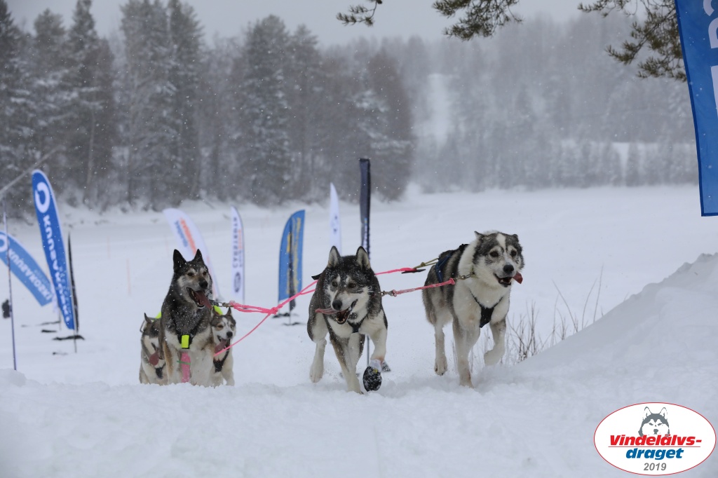 Vindelalvsdraget2019Sunday-68.jpg