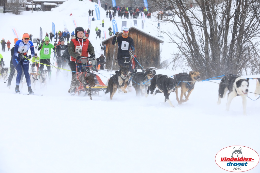 Vindelalvsdraget2019Sunday-7.jpg