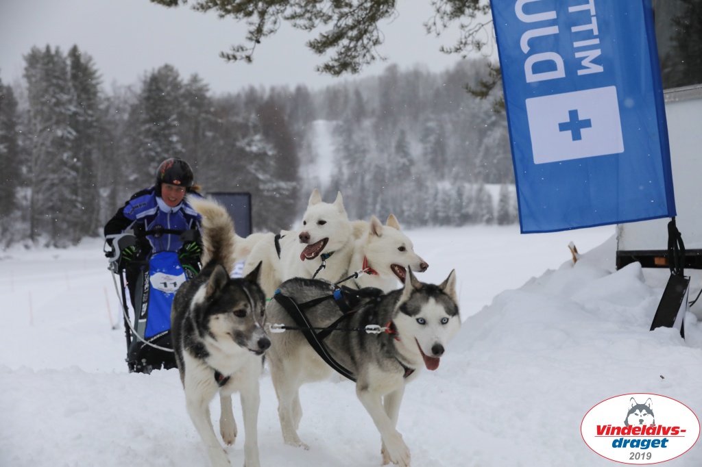 Vindelalvsdraget2019Sunday-73.jpg