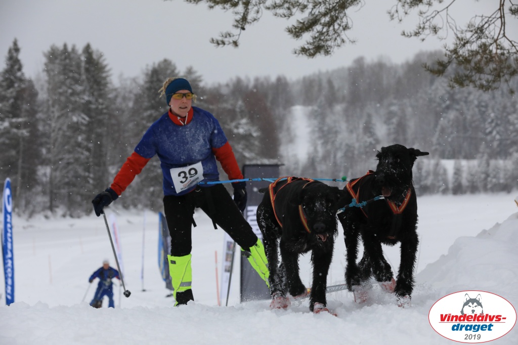 Vindelalvsdraget2019Sunday-75.jpg