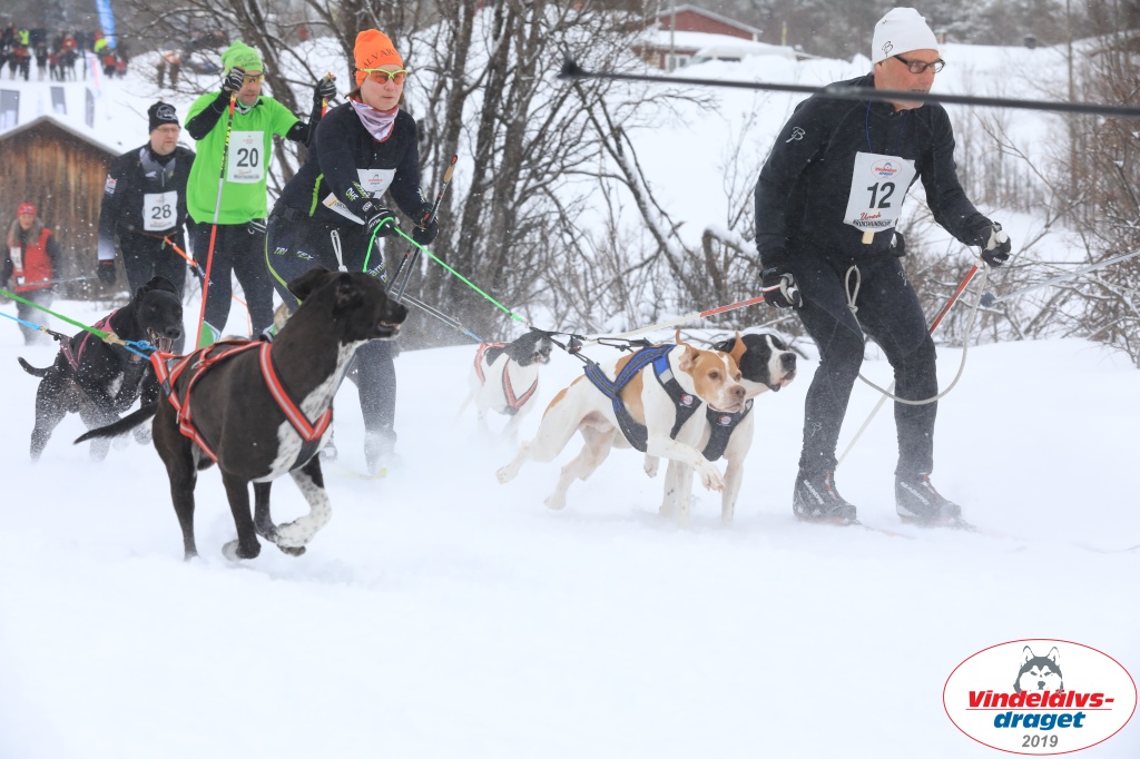 Vindelalvsdraget2019Sunday-9.jpg