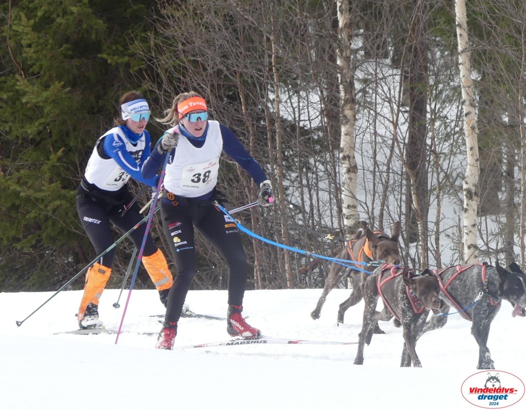 P1070629_cr_resultat.jpg