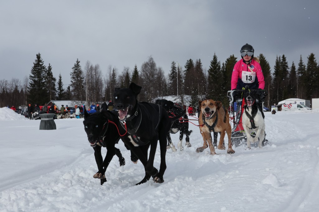 Vindelalvsdraget day 1 - 19.jpg