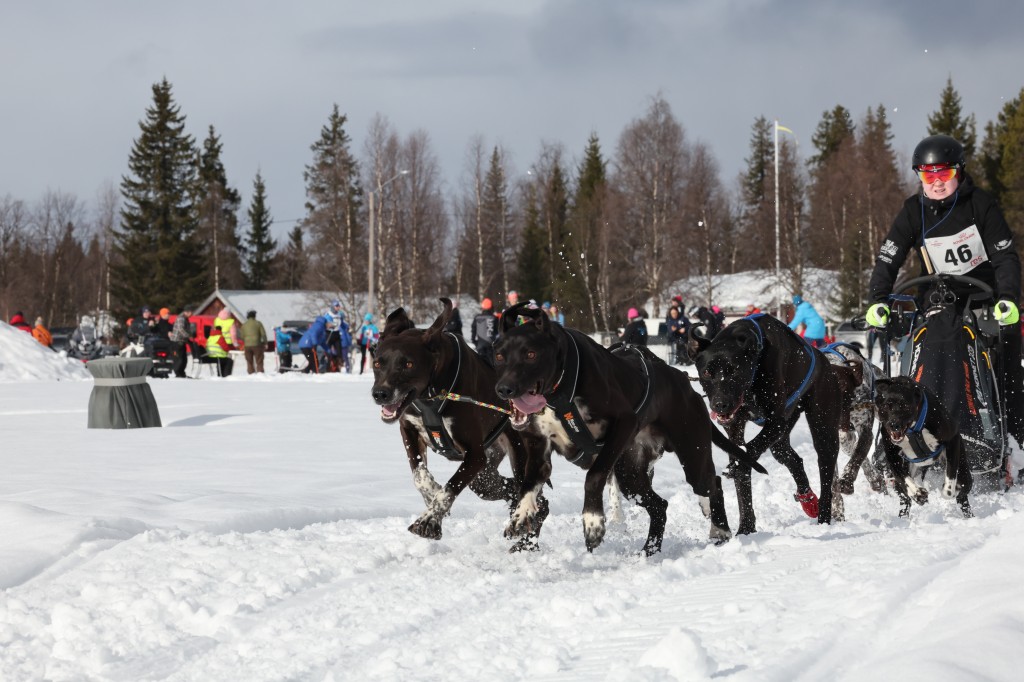 Vindelalvsdraget day 1 - 24.jpg