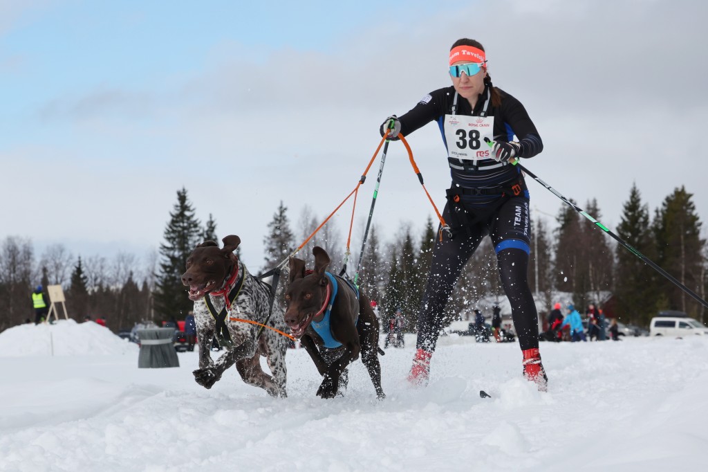 Vindelalvsdraget day 1 - 26.jpg