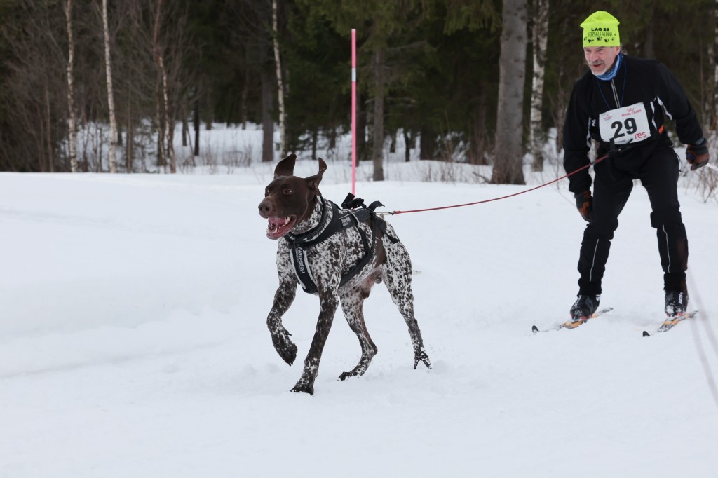 Vindelalvsdraget day 1 - 28.jpg