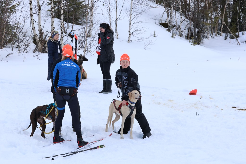 Vindelalvsdraget day 1 - 29.jpg