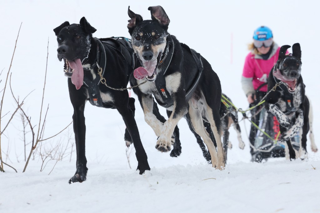 Vindelalvsdraget day 1 - 33.jpg