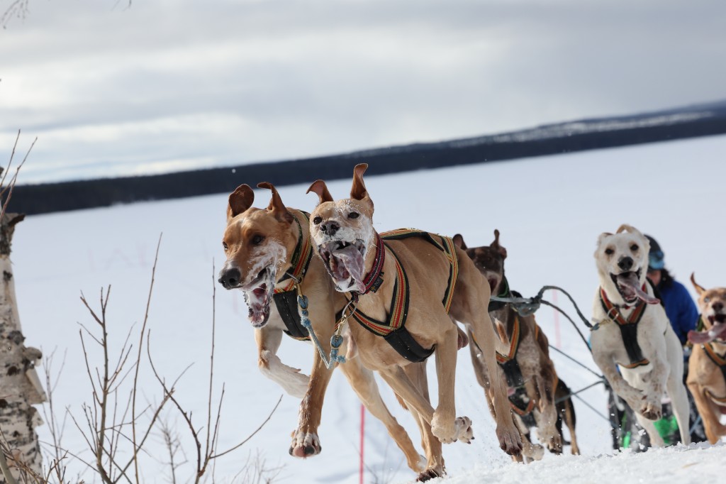 Vindelalvsdraget day 1 - 38.jpg