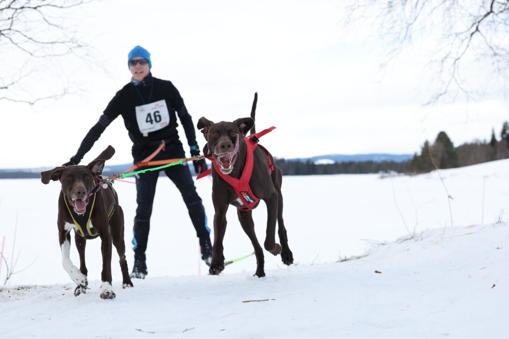 Vindelalvsdraget day 1 - 40.jpg