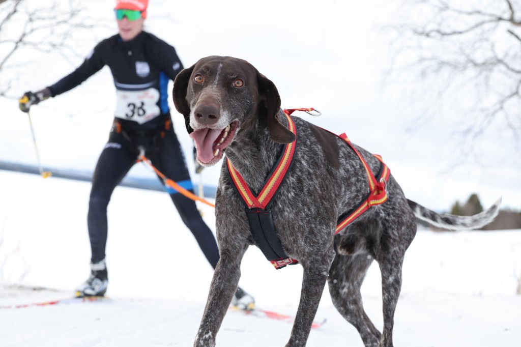 Vindelalvsdraget day 1 - 42.jpg