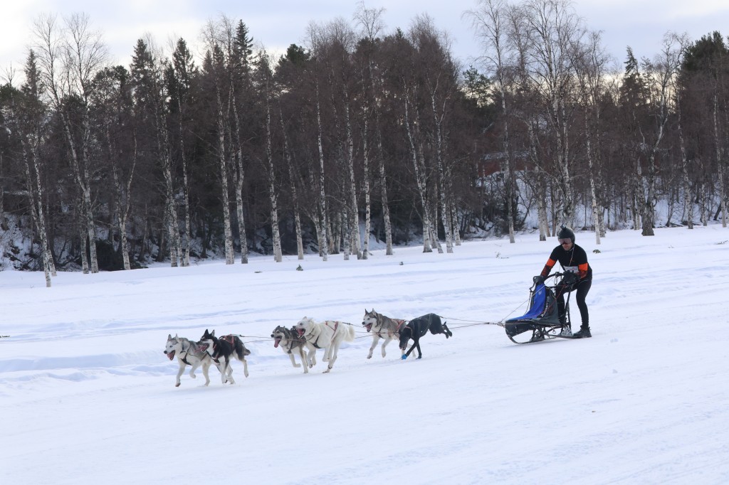 Vindelalvsdraget day 1 - 48.jpg