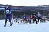 Vindelalvsdraget day 1 - 10.jpg