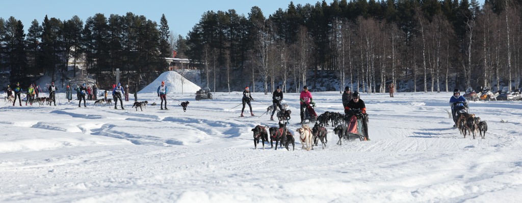 Vindelalvsdraget - day 2- 06.jpg