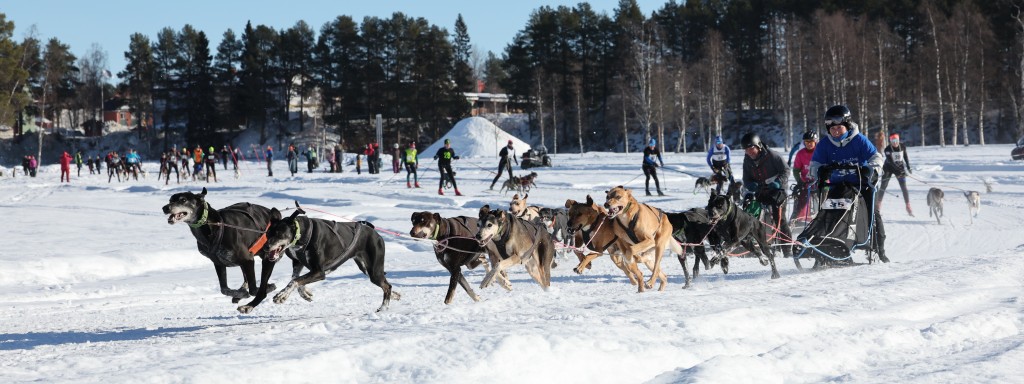 Vindelalvsdraget - day 2- 07.jpg