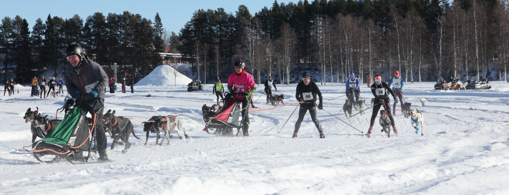 Vindelalvsdraget - day 2- 08.jpg