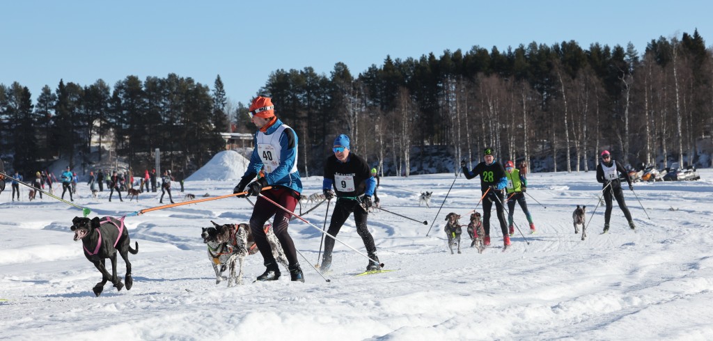 Vindelalvsdraget - day 2- 10.jpg