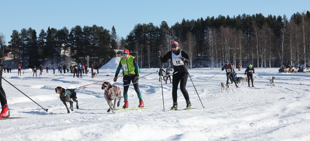 Vindelalvsdraget - day 2- 12.jpg