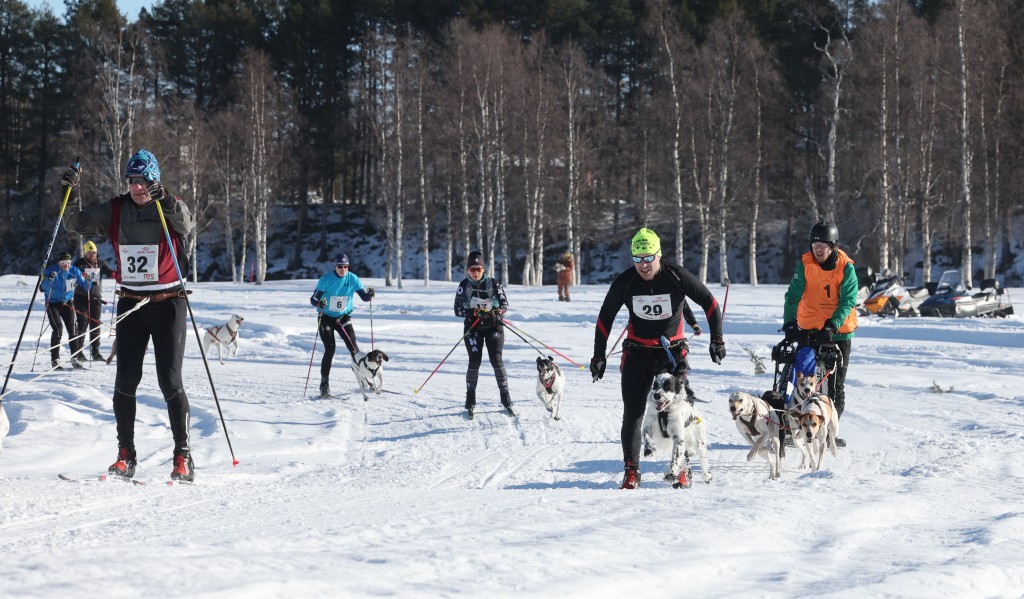 Vindelalvsdraget - day 2- 13.jpg