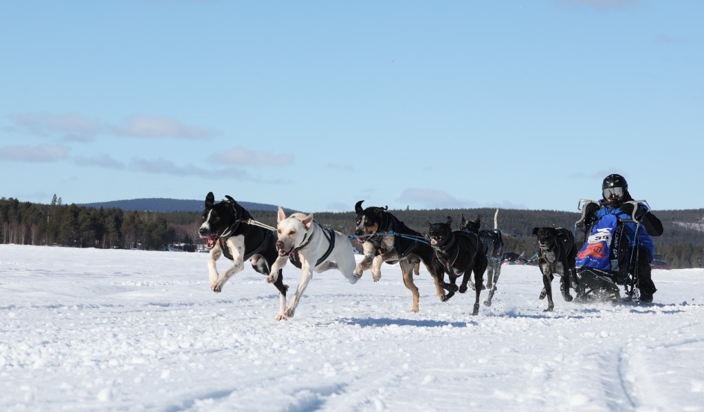 Vindelalvsdraget - day 2- 16.jpg