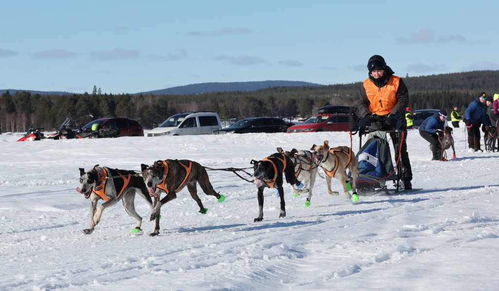 Vindelalvsdraget - day 2- 18.jpg