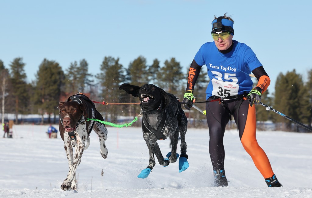 Vindelalvsdraget - day 2- 24.jpg