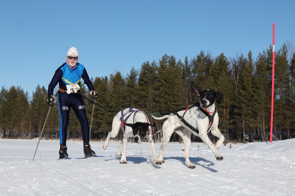 Vindelalvsdraget - day 2- 31.jpg