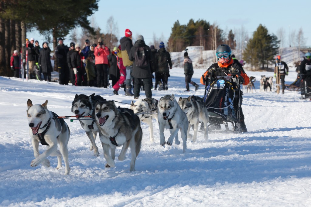 Vindelalvsdraget - day 2- 38.jpg