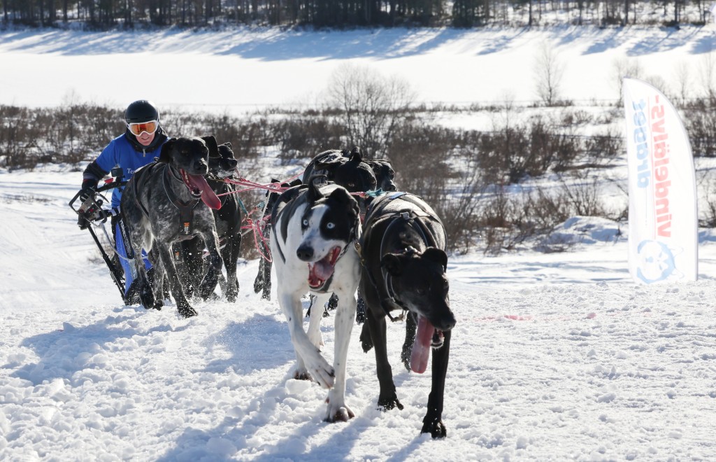 Vindelalvsdraget - day 2- 40.jpg