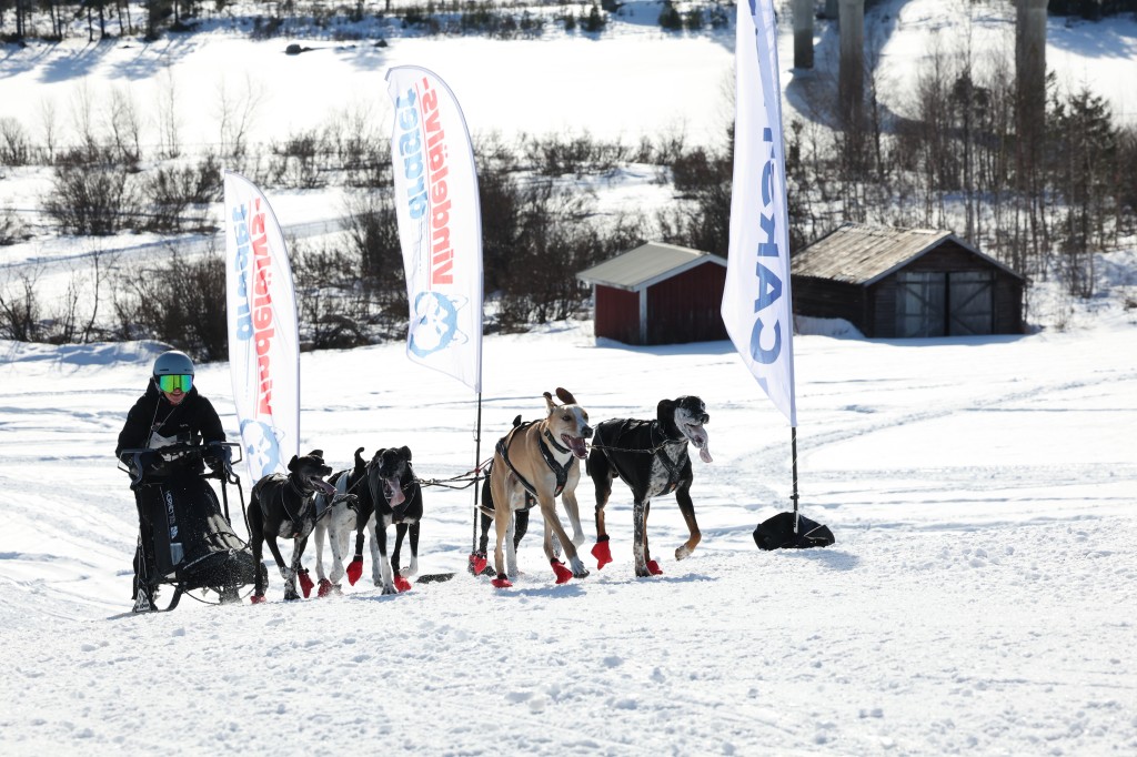 Vindelalvsdraget - day 2- 41.jpg