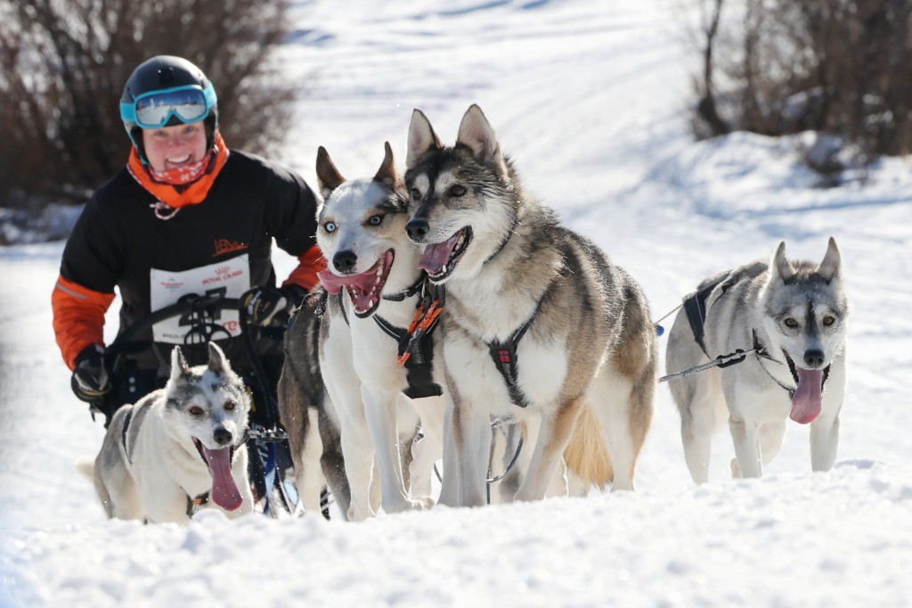 Vindelalvsdraget - day 2- 45.jpg