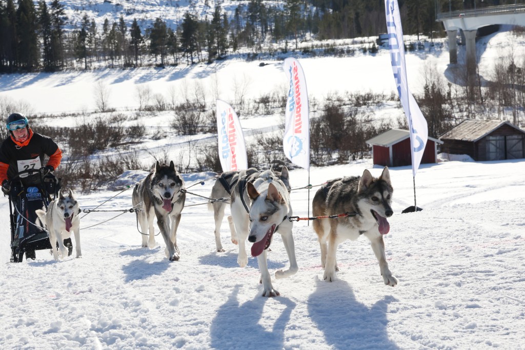 Vindelalvsdraget - day 2- 46.jpg