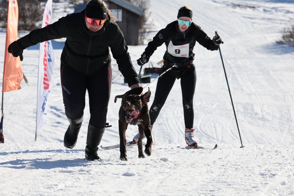 Vindelalvsdraget - day 2- 49.jpg