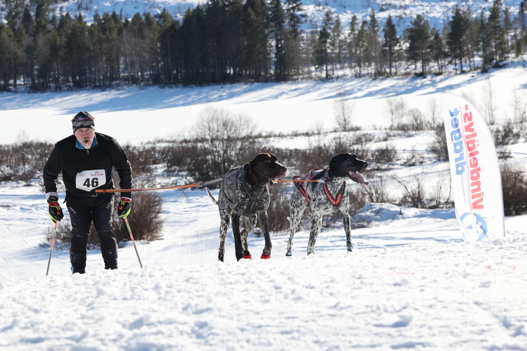 Vindelalvsdraget - day 2- 50.jpg