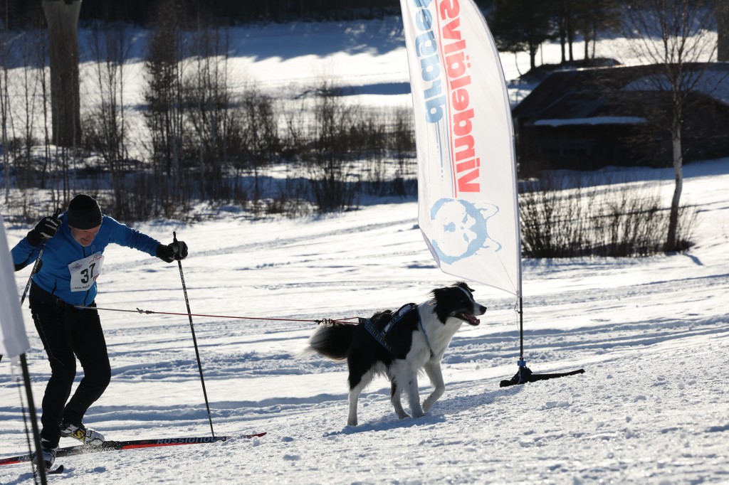 Vindelalvsdraget - day 2- 58.jpg