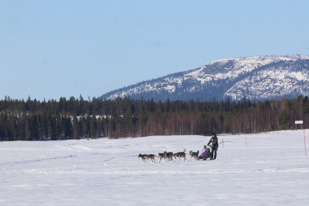 Vindelalvsdraget - day 2- 62.jpg