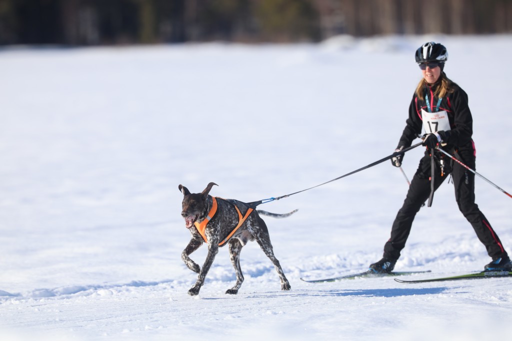 Vindelalvsdraget - day 2- 64.jpg