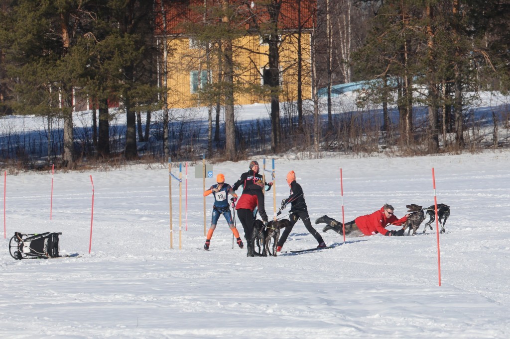 Vindelalvsdraget - day 2- 65.jpg