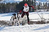 Vindelalvsdraget - day 2- 51.jpg