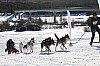 Vindelalvsdraget - day 2- 52.jpg
