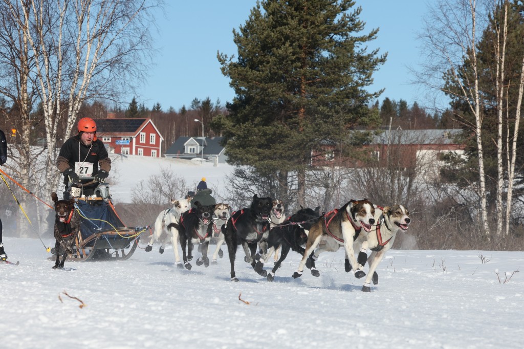 Vindelalvsdraget - day 3 - 06.jpg