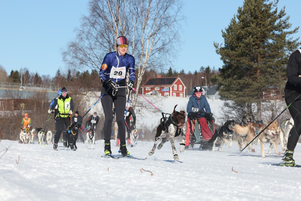 Vindelalvsdraget - day 3 - 07.jpg