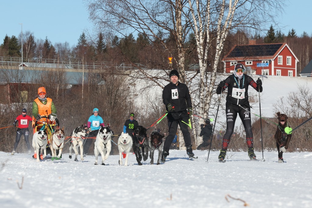 Vindelalvsdraget - day 3 - 08.jpg