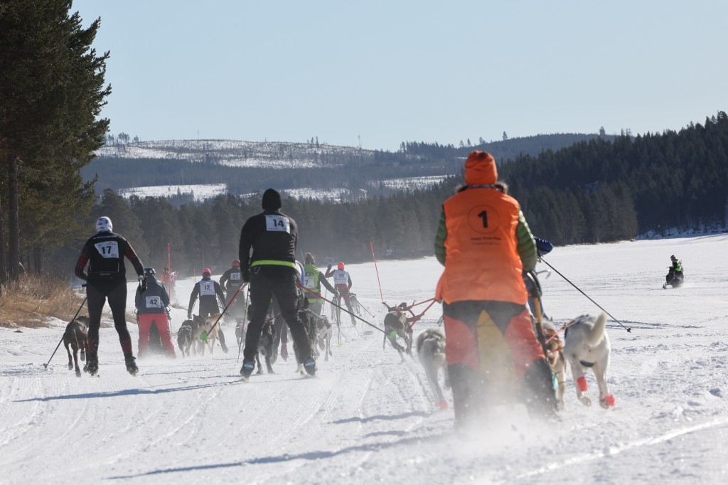 Vindelalvsdraget - day 3 - 09.jpg