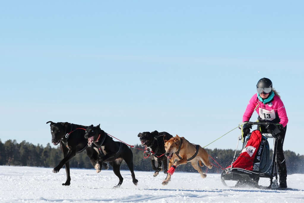 Vindelalvsdraget - day 3 - 11.jpg