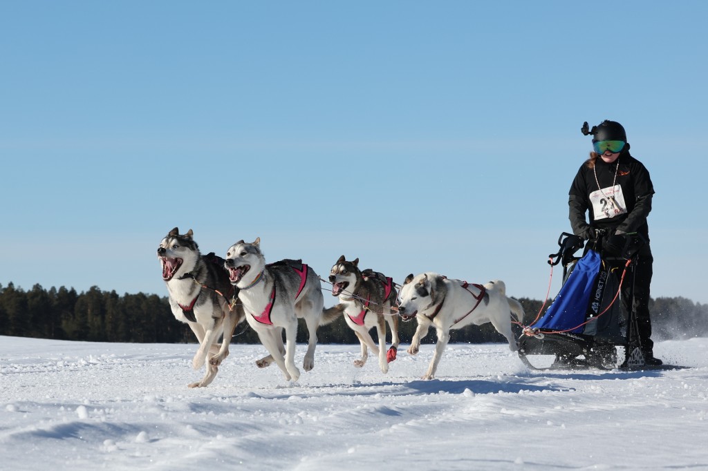 Vindelalvsdraget - day 3 - 12.jpg