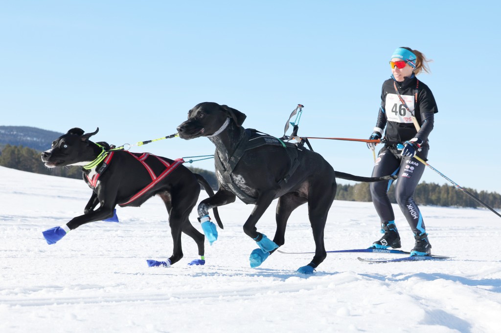 Vindelalvsdraget - day 3 - 16.jpg